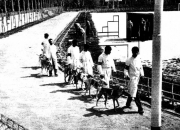 Rennbahn in Algier 1956