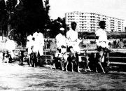 Rennbahn in Algier 1956
