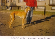 Amira Alahuv dar 1995