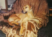 Ithren de Tin-Tazarift 1995