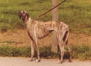 okaline