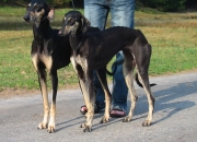 eiundei