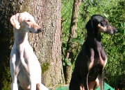 parentsslitter1