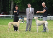 107-0771_img