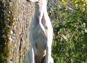dscn0463