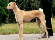 geaugeau1