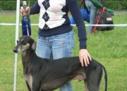 sandrina1