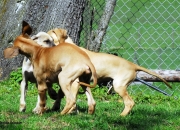 bild-276