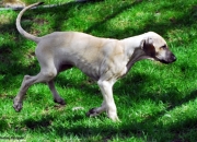 bild-280