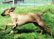 bild-291