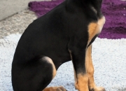 bild-344