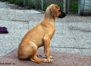 bild-351