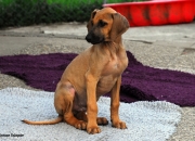 bild-358