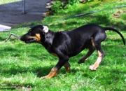 bild-451
