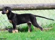 bild-482